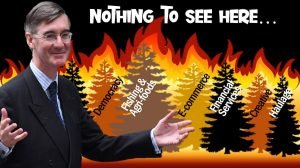 Rees-Mogg standing in front of a burning forest with democracy fishing agriculture, food e-commerce and financial service all burning down